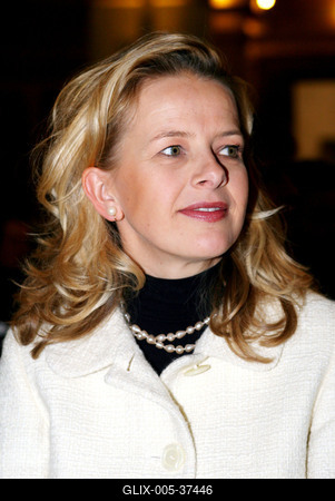 A kulturális miniszter megnyitotta a Van Gogh-kiállítást-stock-foto