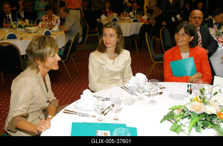 Jótékonysági vacsora-stock-foto