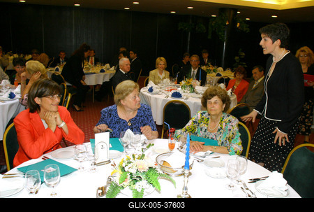 Jótékonysági vacsora-stock-foto