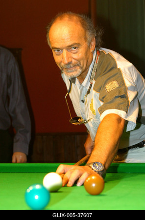 Megjelent a Biliárdkönyv - sztárok is dákót ragadtak-stock-foto