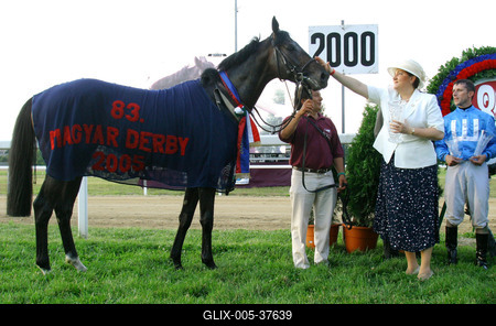 83. Magyar Derby-vel ünnepelték a Kincsem Parkot a lóversenysport kedvelői-stock-foto