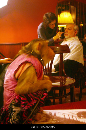 Verebes István kisregényt írt-stock-foto