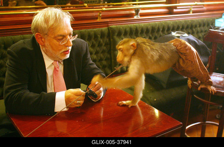 Verebes István kisregényt írt-stock-foto