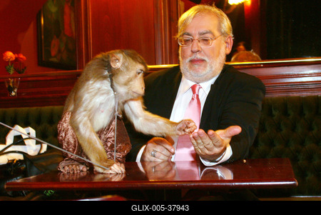 Verebes István kisregényt írt-stock-foto