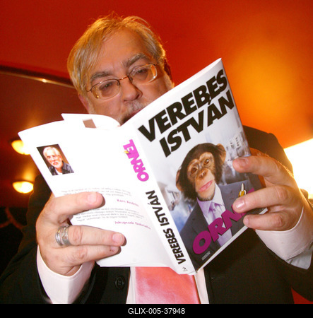 Verebes István kisregényt írt-stock-foto