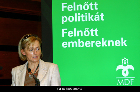 Együttműködési megállapodást kötött az MDF és a Tisztelet Társasága-stock-foto