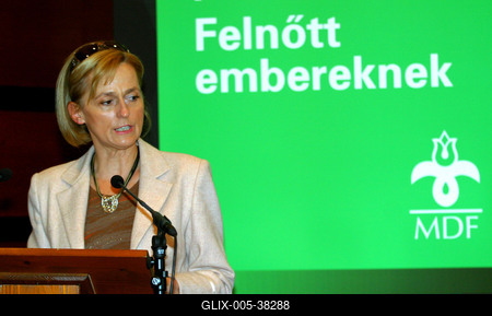 Együttműködési megállapodást kötött az MDF és a Tisztelet Társasága-stock-foto