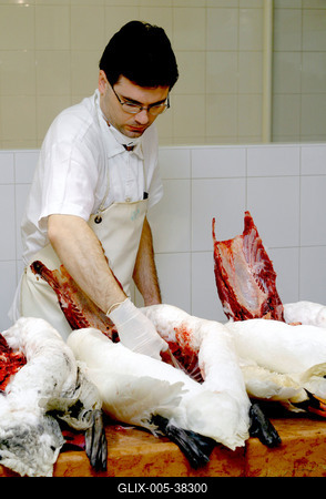 Gyurcsány Ferenc az Állategészségügyi Intézetben-stock-foto