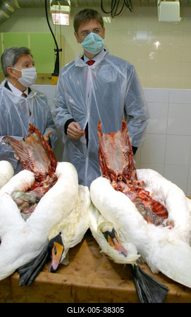 Gyurcsány Ferenc az Állategészségügyi Intézetben-stock-foto