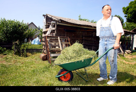Nagy Feró-stock-foto