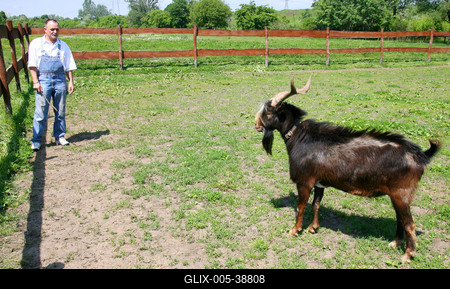 Nagy Feró-stock-foto
