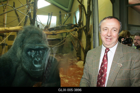 Felavatták a Környezetvédelem Nagyköveteit-stock-foto