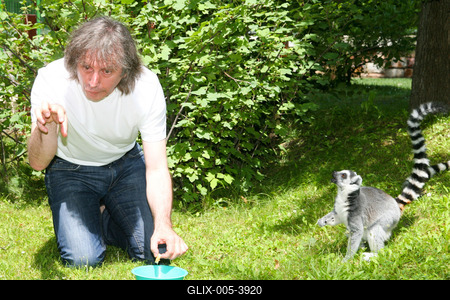 Átadták a makikifutót az Állatkertben-stock-foto