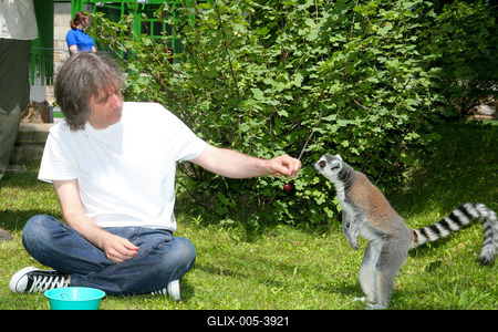 Átadták a makikifutót az Állatkertben-stock-foto