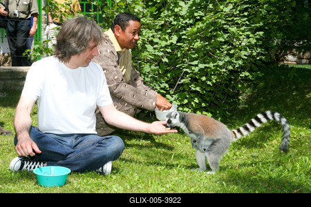 Átadták a makikifutót az Állatkertben-stock-foto