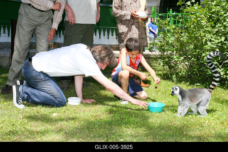 Átadták a makikifutót az Állatkertben-stock-foto