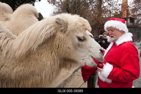Mikulás járt az Állatkertben-stock-foto