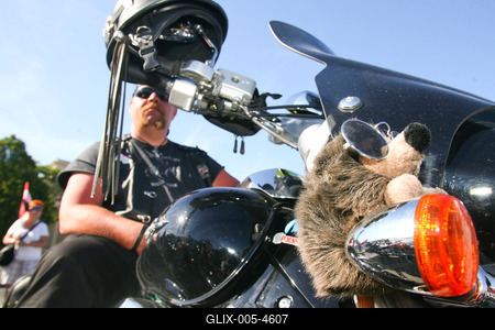Az előrehozott választásokért demonstráltak a Hősök terén-stock-foto
