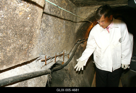 Demszky a csőben-stock-foto