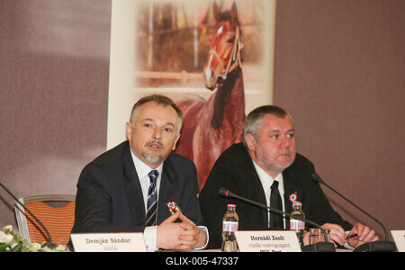 Magyar vállalkozók fogtak össze Overdose érdekében-stock-foto