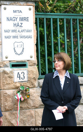 Emlékezés Nagy Imrére-stock-foto