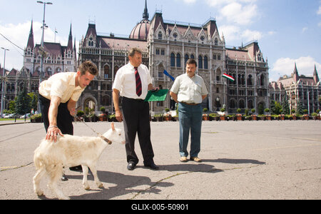 Kecske Orbán Viktornak-stock-foto