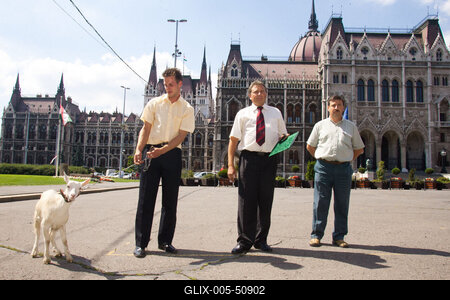 Kecske Orbán Viktornak-stock-foto