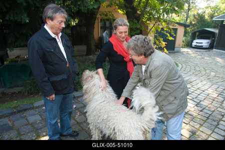 Kern András új lemezt készít-stock-foto