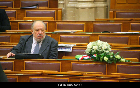 Rendkívüli ülés a Parlamentben-stock-foto