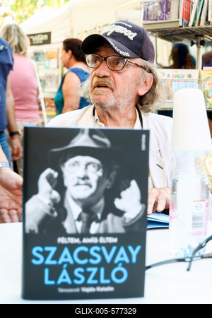 Pozsonyi Piknik. A k?pen Szacsvay L?szl?.2025.09.06.Fot?:V?r?s Szil?rd-stock-foto