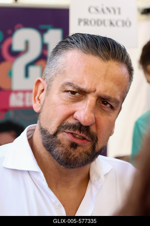 Pozsonyi Piknik. A k?pen Cs?nyi S?ndor.2025.09.06.Fot?:V?r?s Szil?rd-stock-foto