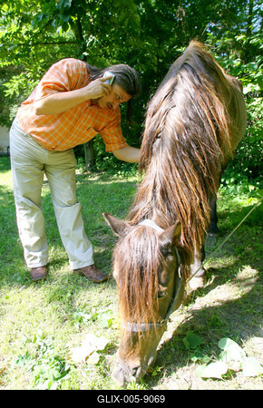 Badár Sándor-stock-foto