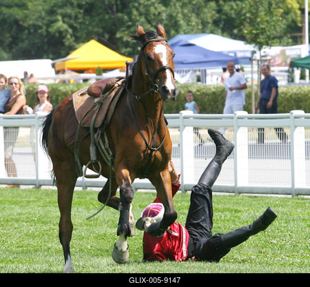 85. galopp Magyar Derby-stock-foto