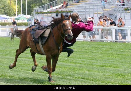 85. galopp Magyar Derby-stock-foto