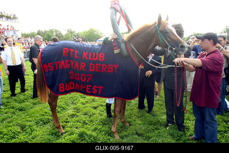 85. galopp Magyar Derby-stock-foto