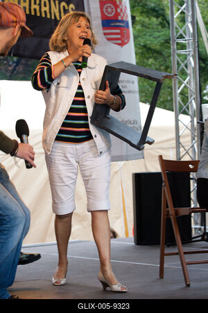 Pozsonyi Piknik-stock-foto