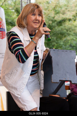 Pozsonyi Piknik-stock-foto