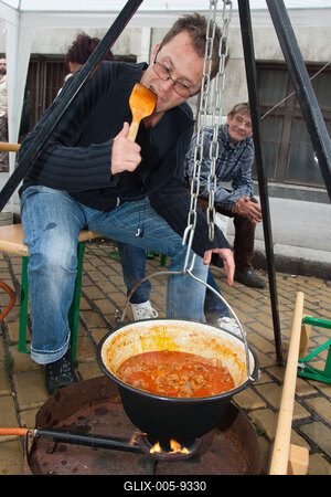 Pozsonyi Piknik-stock-foto