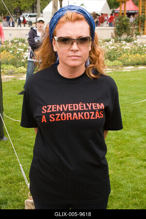 Sárkányhajó verseny-stock-foto