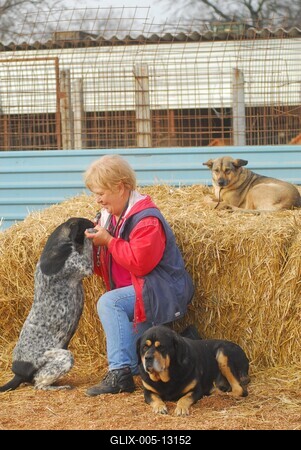 Gál Tiborné-stock-foto