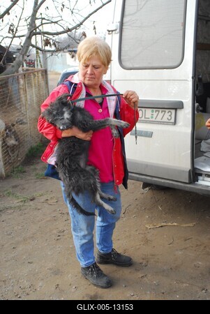 Gál Tiborné-stock-foto