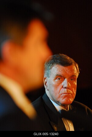 Tíz éves a Budaörsi Játékszín-stock-foto