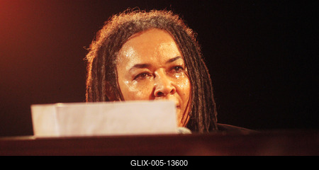 Rhoda Scott koncertje az A38 hajón-stock-foto