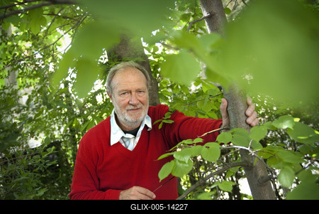 Juhász Árpád-stock-foto