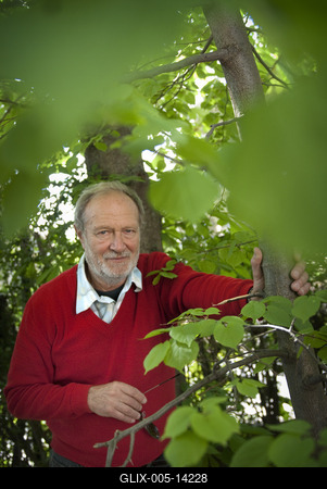 Juhász Árpád-stock-foto