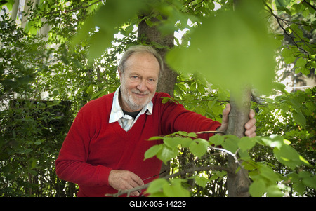 Juhász Árpád-stock-foto