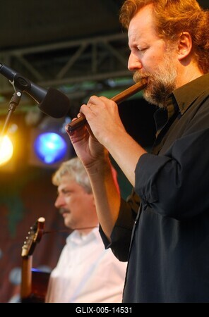 Vujicsics Együttes-stock-foto