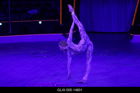 8. Nemzetközi Cirkuszfesztivál-stock-foto