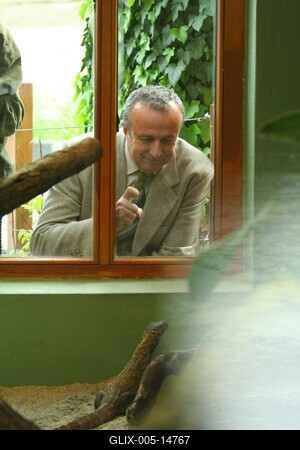 Budapestre érkezett a komodói sárkány-stock-foto