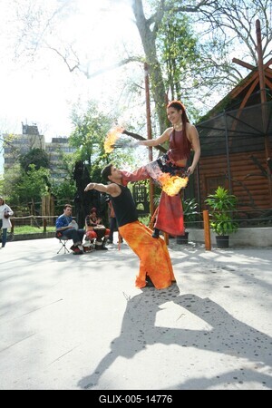 Budapestre érkezett a komodói sárkány-stock-foto